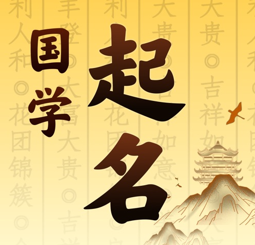 阳江国学起名 人工起名一对一